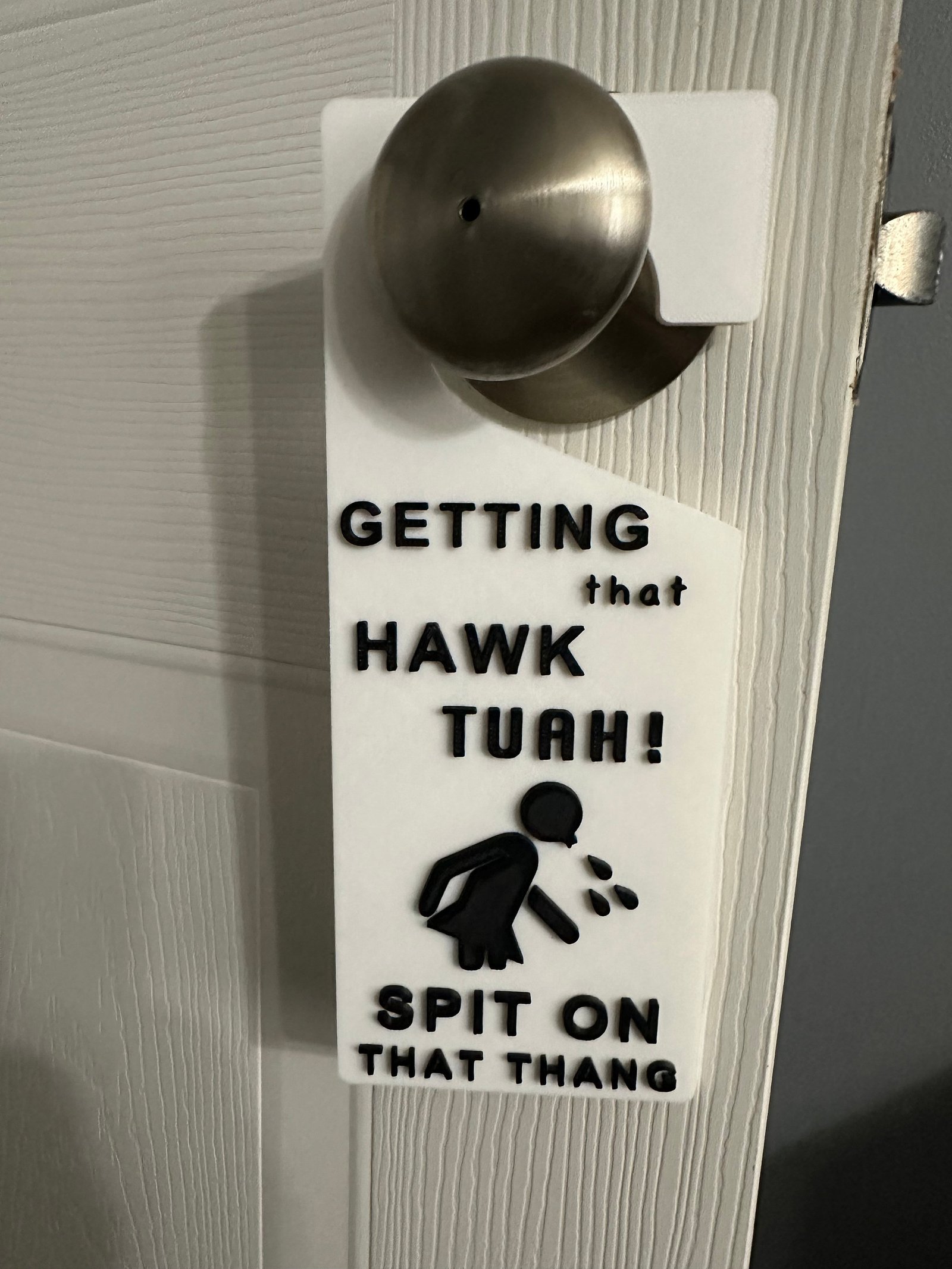 Hawk Tuah! Spit on That Thang / Door Tag / Funny / TikTok